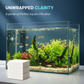 🐠 COMPRE 1 E GANHE 1 GRÁTIS! ✨ FOLHAS CLARIFICANTES PARA AQUÁRIOS - Água cristalina em 24 horas, remove odores e impurezas, seguro para todos os peixes e plantas 🌿🔮