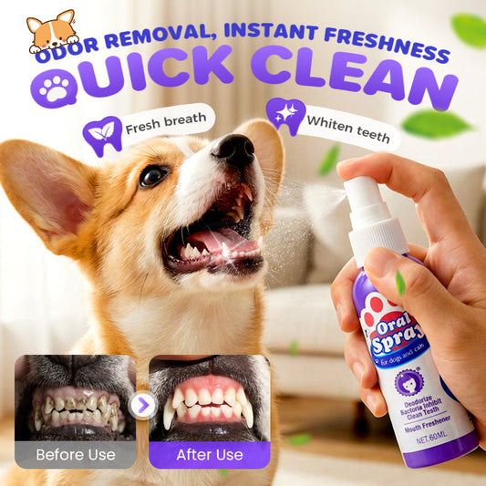 Teeth Cleaning Spray for Pets