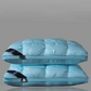 🛏️💤 PROMOÇÃO -50%! Almofada ergonómica com qualidade de hotel – Apoio cervical perfeito, 8 cores, 3 alturas, lavável, 48×74 cm