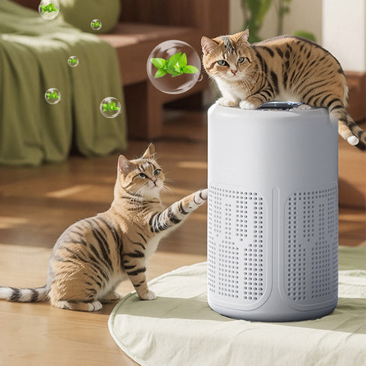 🌀Purificador de ar para casa🌿Inclui filtro e pastilhas de aromaterapia