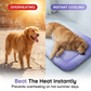 🥳 MEGA PROMOÇÃO 2026 🥳💞 +50K VENDIDOS! 🐶❄️ 50% OFF! Tapete de Gel Refrescante para Pets – Sem necessidade de refrigeração, alívio instantâneo do calor. Respirável e atóxico. Ajuda os pets a dormir frescos o verão todo! 🌿✨