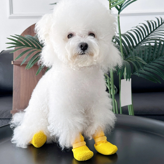 🐶 50% DE DESCONTO! ✨ Meias antiderrapantes e impermeáveis para animais de estimação